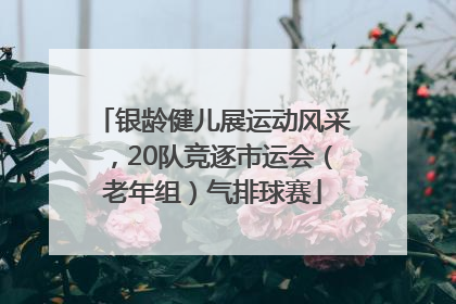 银龄健儿展运动风采，20队竞逐市运会（老年组）气排球赛