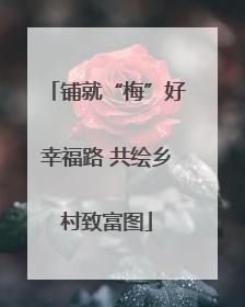 铺就“梅”好幸福路 共绘乡村致富图