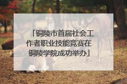 铜陵市首届社会工作者职业技能竞赛在铜陵学院成功举办