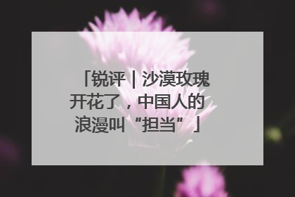 锐评｜沙漠玫瑰开花了，中国人的浪漫叫“担当”