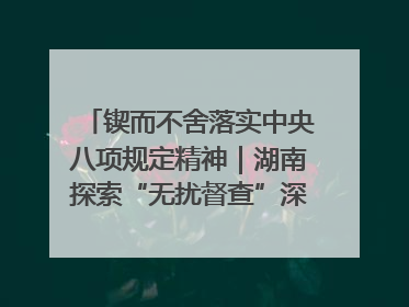 锲而不舍落实中央八项规定精神｜湖南探索“无扰督查”深化基层减负