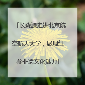 长森源走进北京航空航天大学，展现红参非遗文化魅力