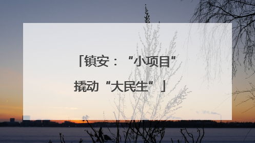 镇安：“小项目”撬动“大民生”