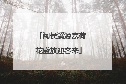 闽侯溪源寨荷花盛放迎客来