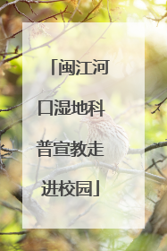 闽江河口湿地科普宣教走进校园