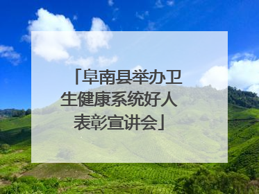 阜南县举办卫生健康系统好人表彰宣讲会