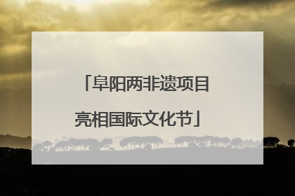 阜阳两非遗项目亮相国际文化节