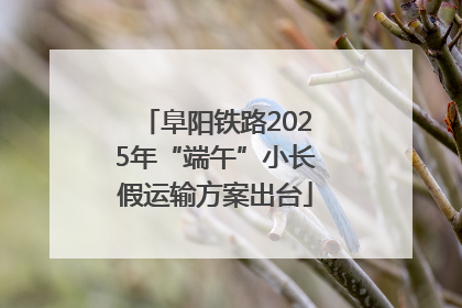 阜阳铁路2025年“端午”小长假运输方案出台