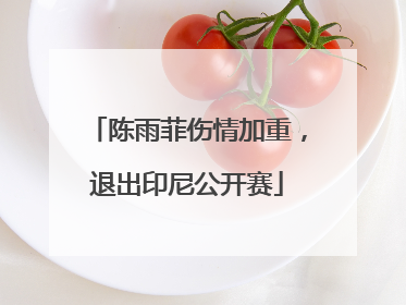 陈雨菲伤情加重，退出印尼公开赛