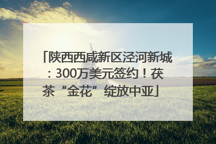 陕西西咸新区泾河新城：300万美元签约！茯茶“金花”绽放中亚