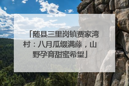 随县三里岗镇贾家湾村：八月瓜缀满藤，山野孕育甜蜜希望