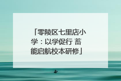 零陵区七里店小学：以学促行 蓄能启航校本研修