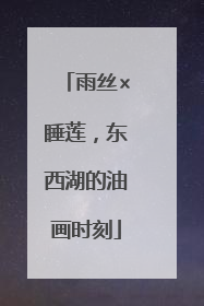 雨丝×睡莲，东西湖的油画时刻