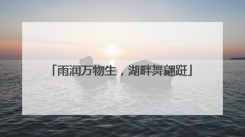 雨润万物生，湖畔舞翩跹