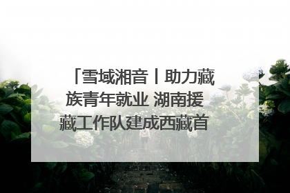 雪域湘音丨助力藏族青年就业 湖南援藏工作队建成西藏首个清洁能源装备园