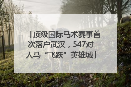 顶级国际马术赛事首次落户武汉，547对人马“飞跃”英雄城
