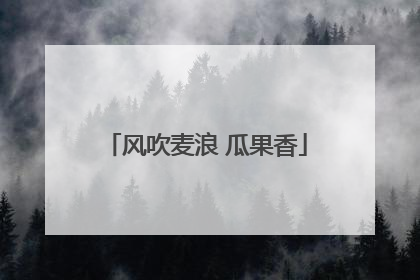 风吹麦浪 瓜果香