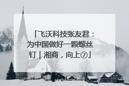 飞沃科技张友君：为中国做好一颗螺丝钉｜湘商，向上⑦