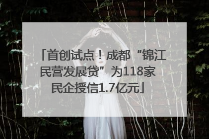 首创试点！成都“锦江民营发展贷”为118家民企授信1.7亿元
