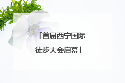 首届西宁国际徒步大会启幕