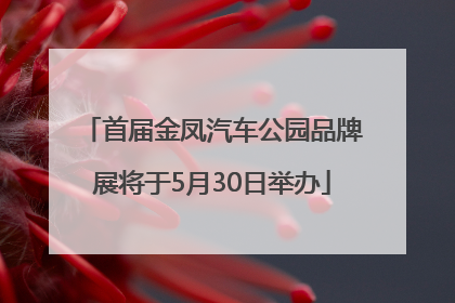 首届金凤汽车公园品牌展将于5月30日举办