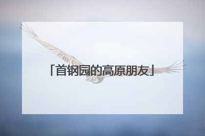 首钢园的高原朋友