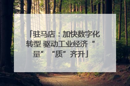 驻马店：加快数字化转型 驱动工业经济“量”“质”齐升