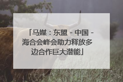 马媒：东盟－中国－海合会峰会助力释放多边合作巨大潜能