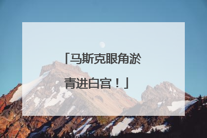 马斯克眼角淤青进白宫！