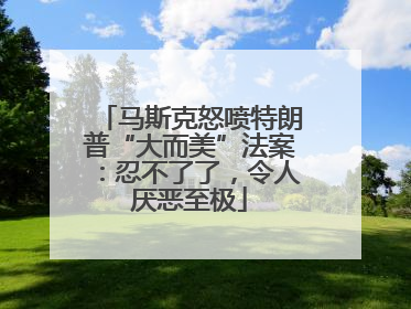 马斯克怒喷特朗普“大而美”法案：忍不了了，令人厌恶至极