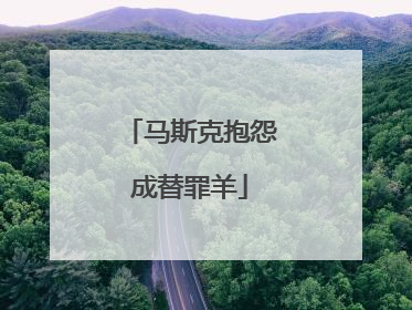 马斯克抱怨成替罪羊