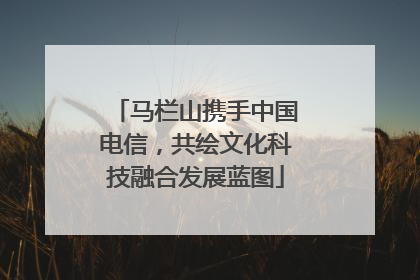 马栏山携手中国电信，共绘文化科技融合发展蓝图