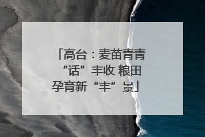 高台：麦苗青青“话”丰收 粮田孕育新“丰”景