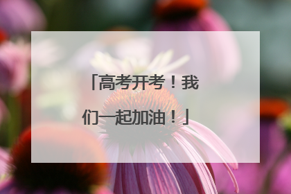 高考开考！我们一起加油！