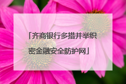 齐商银行多措并举织密金融安全防护网