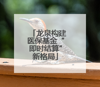 龙泉构建医保基金“即时结算”新格局