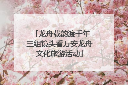 龙舟载韵渡千年 三组镜头看万安龙舟文化旅游活动