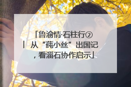 鲁渝情·石柱行② ︳从“莼小丝”出国记，看淄石协作启示
