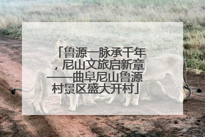 鲁源一脉承千年，尼山文旅启新章——曲阜尼山鲁源村景区盛大开村
