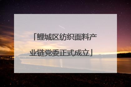鲤城区纺织面料产业链党委正式成立