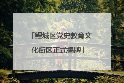 鲤城区党史教育文化街区正式揭牌