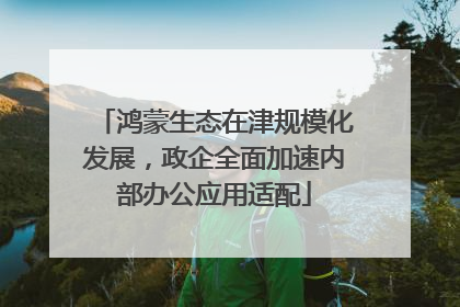 鸿蒙生态在津规模化发展，政企全面加速内部办公应用适配