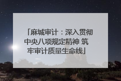 麻城审计：深入贯彻中央八项规定精神 筑牢审计质量生命线