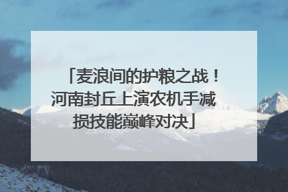 麦浪间的护粮之战！河南封丘上演农机手减损技能巅峰对决