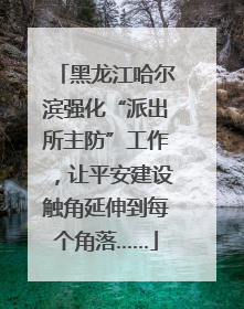 黑龙江哈尔滨强化“派出所主防”工作，让平安建设触角延伸到每个角落……