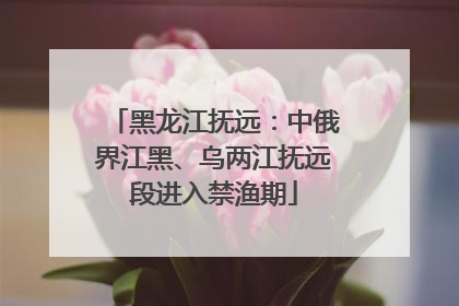 黑龙江抚远：中俄界江黑、乌两江抚远段进入禁渔期