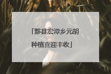 黟县宏潭乡元胡种植喜迎丰收