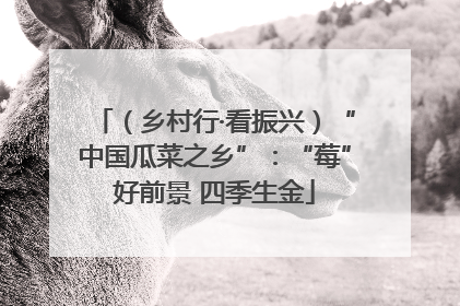（乡村行·看振兴）“中国瓜菜之乡”：“莓”好前景 四季生金
