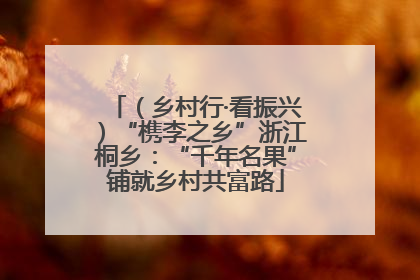 （乡村行·看振兴）“槜李之乡”浙江桐乡：“千年名果”铺就乡村共富路