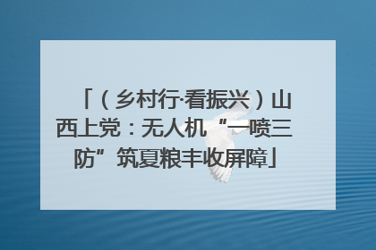 （乡村行·看振兴）山西上党：无人机“一喷三防”筑夏粮丰收屏障
